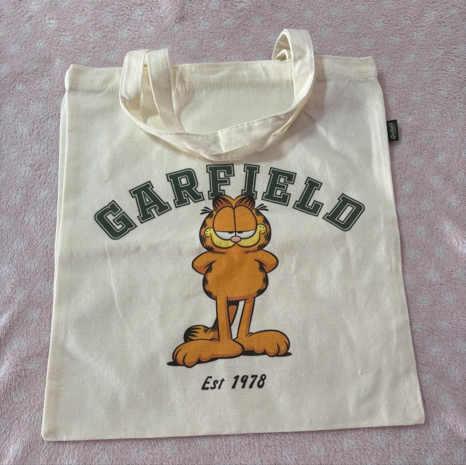 😺 Garfield Nickelodeon Tote Bag 🎀